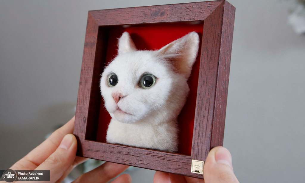 تصویری جالب از پرتره سه بعدی گربه اثر یک هنرمند ژاپنی