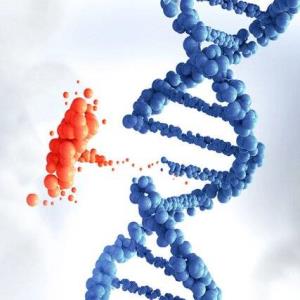 درمان بیماری‌های ژنتیکی با کمک یک سیستم جدید دارورسانی ممکن می‌شود