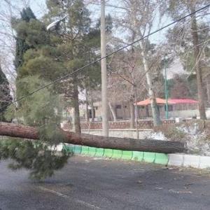 طوفان و برف به شبکه‌های توزیع برق استان سمنان خسارت زد