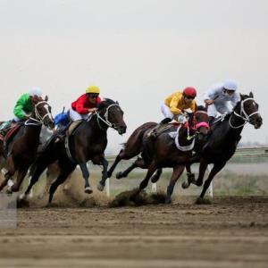 برترین‌های هفته دوم مسابقات اسب دوانی کشور در اهواز