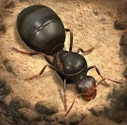 The Ants: Underground Kingdom؛ امپراطوری دنیای مورچه‌ها