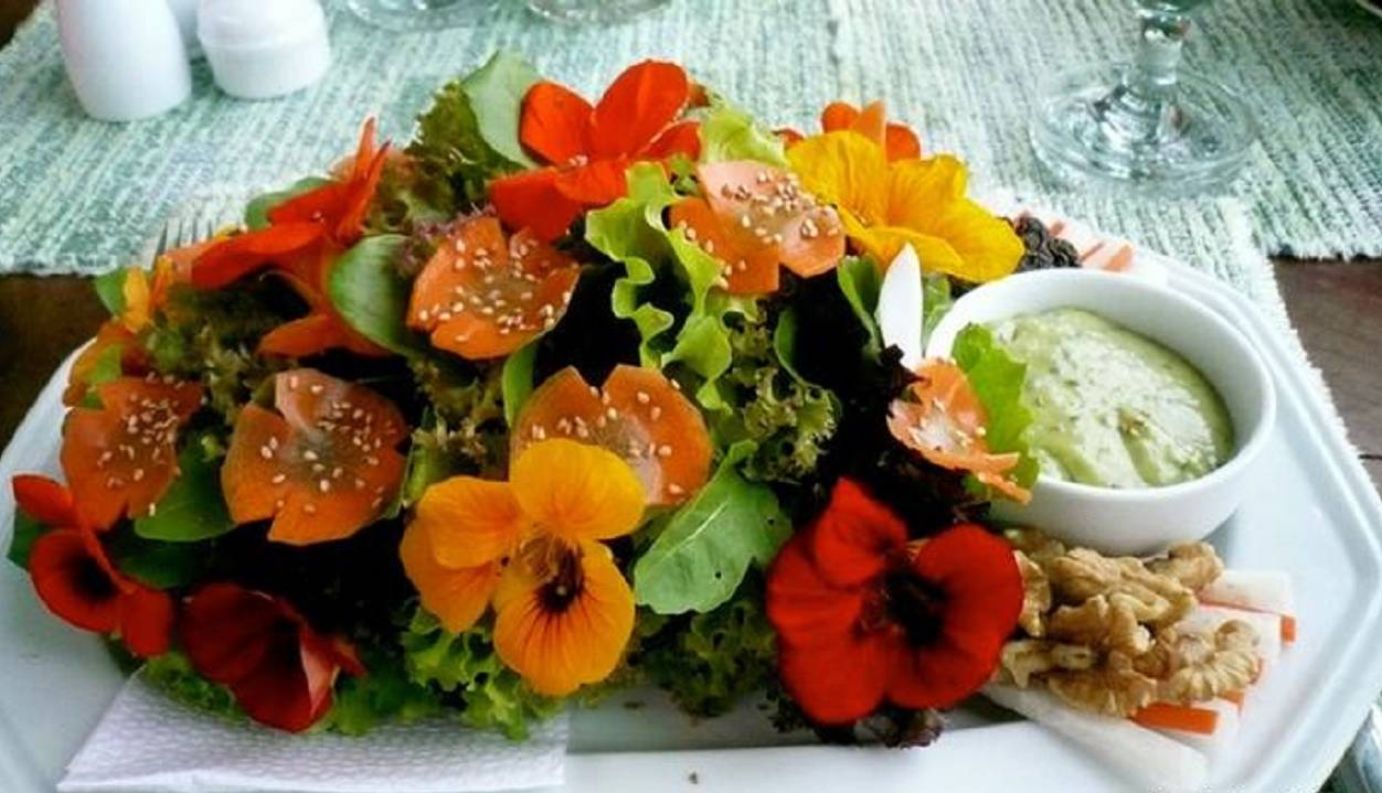 Food flowers. Настурция съедобная. Настурция в кулинарии. Украшение блюд цветами. Цветы для украшения блюд.