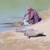 پیرمردی که به تمساح‌ها غذا می‌دهد