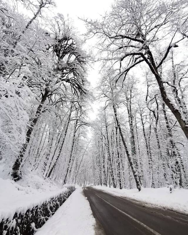 منظره‌ای خیره‌کننده از جاده برفی