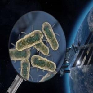 کشف بیش از ۲۰ نوع میکروب در مدار زمین