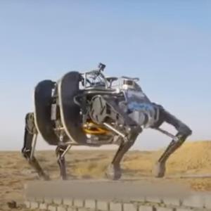 گاو نر؛ بزرگترین ربات چهارپای جهان