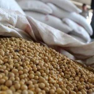 کشف و ضبط 750 کیلوگرم خوراک دام خارج از شبکه در خانمیرزا