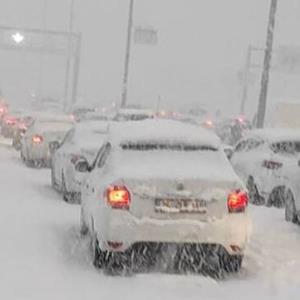 منع تردد خودروهای شخصی در پی برف و بوران شدید در استانبول