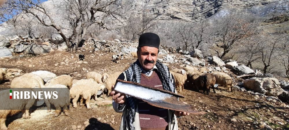 طبیعت زیبای آرپناه و باباروزبهان پس از بارش برف