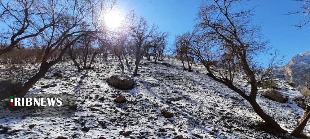 طبیعت زیبای آرپناه و باباروزبهان پس از بارش برف