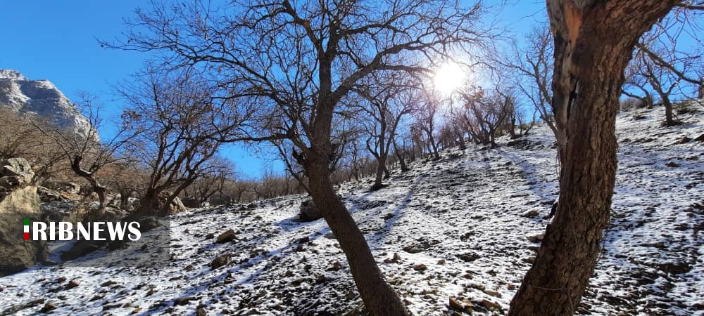 طبیعت زیبای آرپناه و باباروزبهان پس از بارش برف