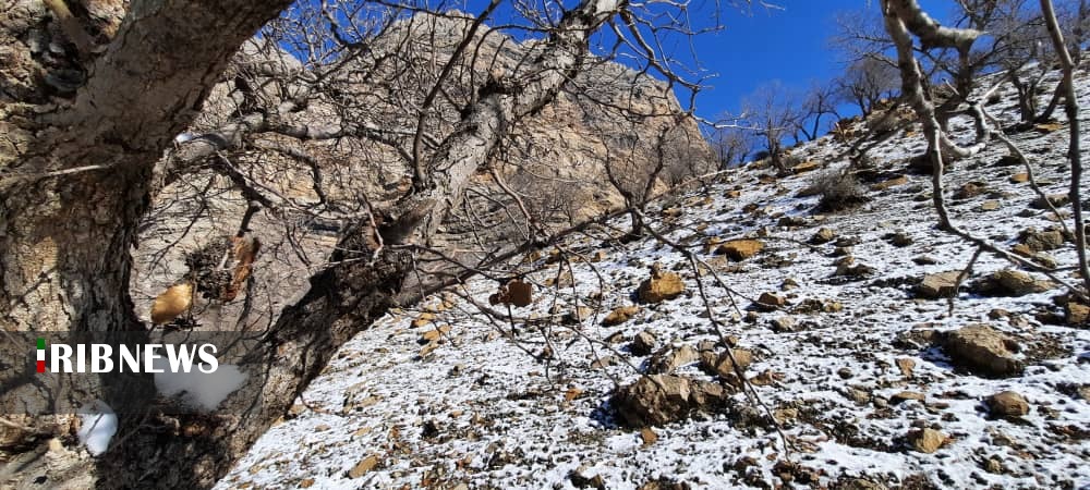 طبیعت زیبای آرپناه و باباروزبهان پس از بارش برف