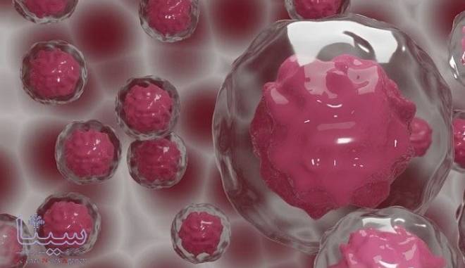 تبدیل سلول های بالغ به سلول های بنیادی پرتوان