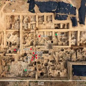اعلام جزئیات طراحی و قابلیت‌های سامانه جامع نقشه باستان‌شناسی کشور در دانشگاه تهران