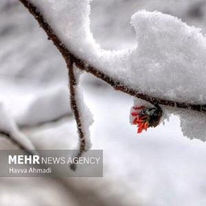 بارش برف، وزش باد و کاهش دما در آذربایجان غربی تا جمعه