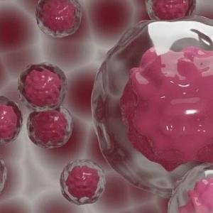 تبدیل سلول های بالغ به سلول های بنیادی پرتوان