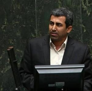 پورابراهیمی: دولت و مجلس در حذف ارز ۴۲۰۰ هم نظر هستند