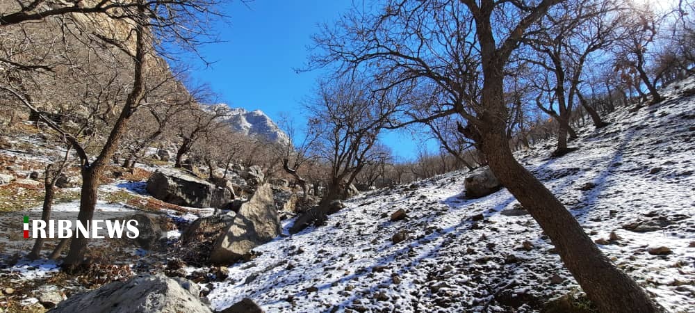طبیعت زیبای آرپناه و باباروزبهان پس از بارش برف