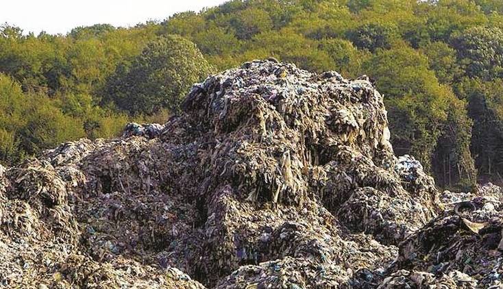 تبدیل ۲۰ هکتار از جنگل‌های گیلان به کوه زباله!