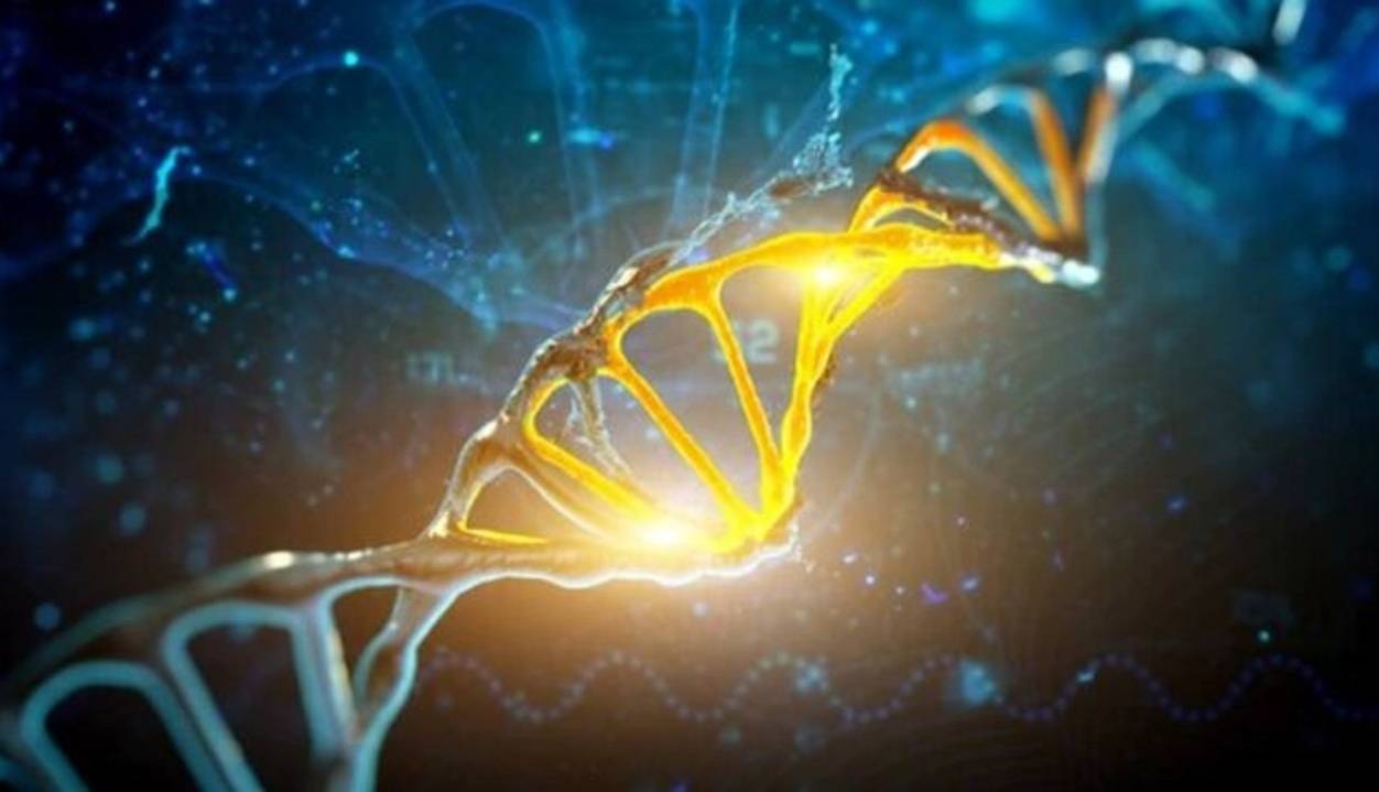 ژنتیک شما طول عمرتان را تعیین می‌کند؟!