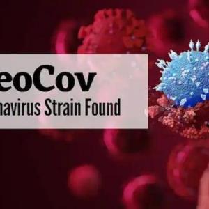 دانشمندان چینی ویروس کرونای جدید کشف کردند