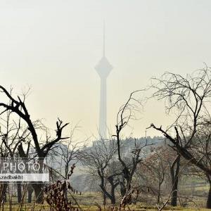 افزایش آلودگی هوای تهران با کاهش سرعت باد