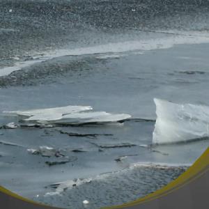 یخ بستن قسمتی از دریاچه زریبار مریوان