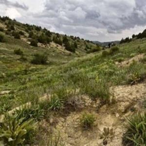 پرونده اراضی منابع طبیعی در گرگان پس از ۲ سال بسته شد