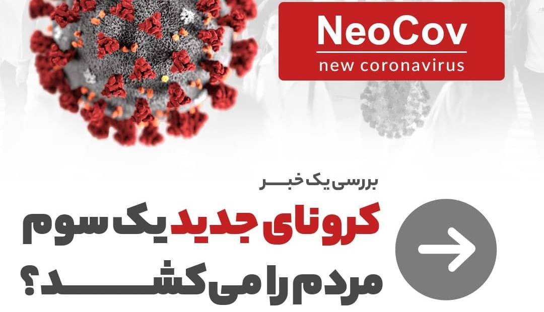 کرونای جدید یک سوم مردم را میکشد؟ کرونای جدید یک سوم مردم را میکشد؟