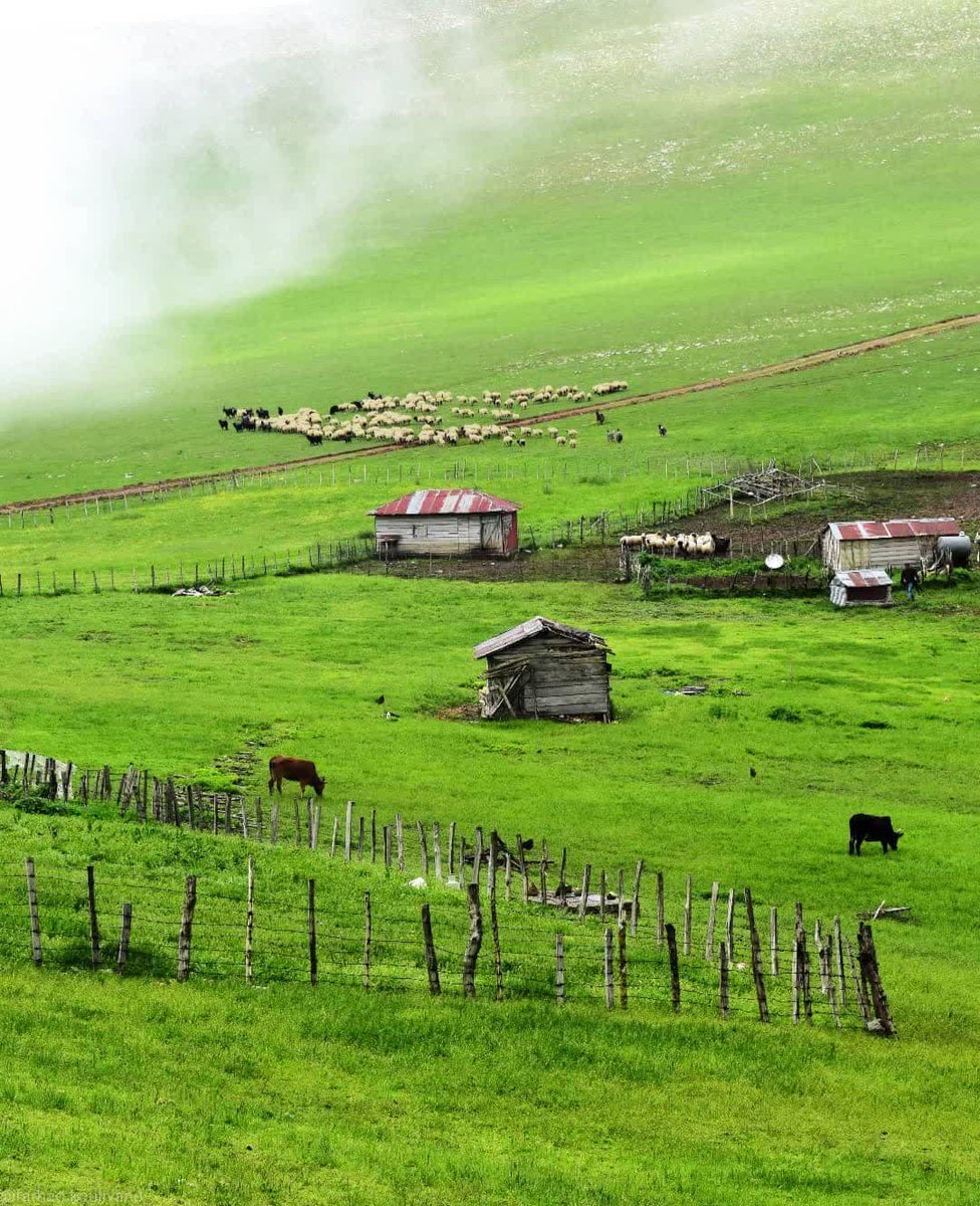 طبیعت زیبای تالش گیلان 