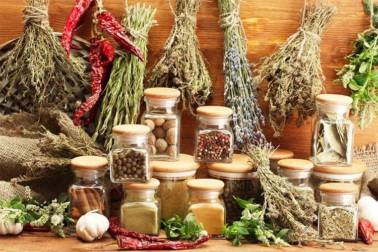 با کدام عصاره گیاهی ریه‌ها را تقویت و با بیماری‌های مرگ‌بار تنفسی مقابله کنیم؟