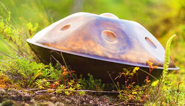 هنگ درام نوازی تماشایی در طبیعت