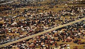 دامپزشکی هم صادرات دام زنده را ممنوع اعلام کرد