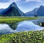 ویدئویی زیبا از طبیعت نیوزیلند