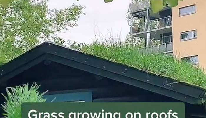 گوناگون/ چیزهایی که وقتی به نروژ بروید، ممکن است شگفت‌زده‌تان کنند!