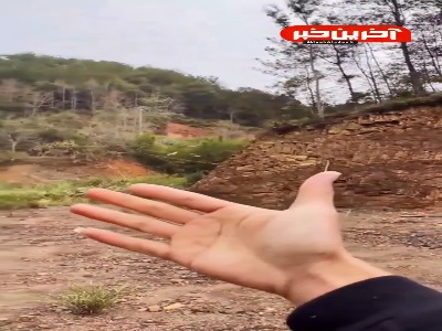 صحنه ای زیبا و دیدنی در طبیعت