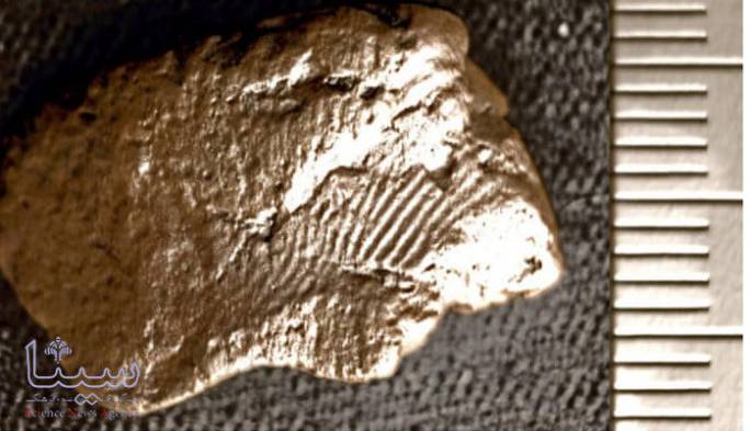 کشف اثر انگشت سفالگران ۵ هزار ساله در اسکاتلند