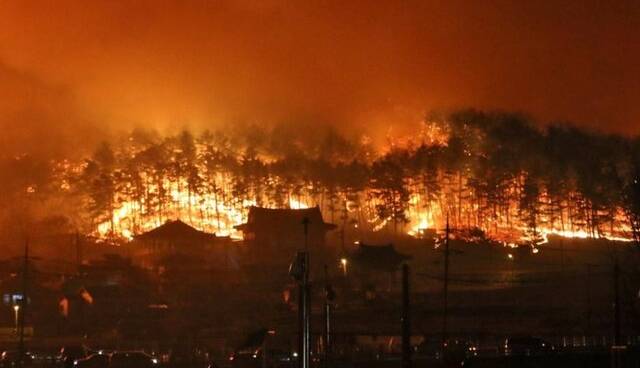 حریق گسترده در کره جنوبی