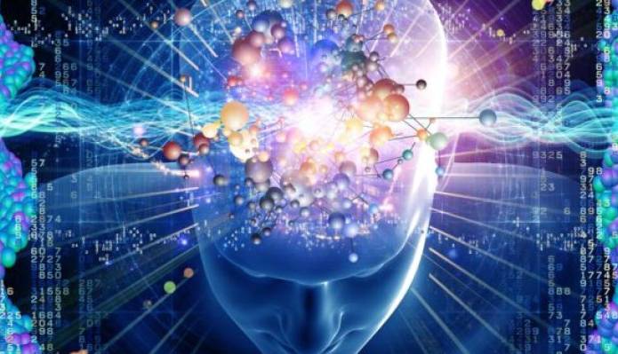 کشف شبکه ای در مغز که مسوول حفظ و آموزش اطلاعات مکانی است