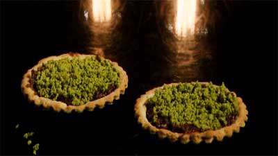 صفر تا صد تهیه تارت خرما