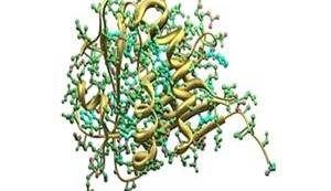 افزایش سرعت واکنش‌ها با سیستم چندآنزیمی