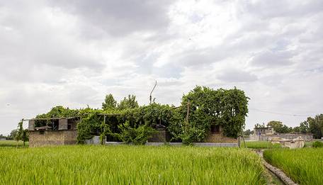 زنان سهم بیشتری از مردان در حفاظت از محیط زیست دارند