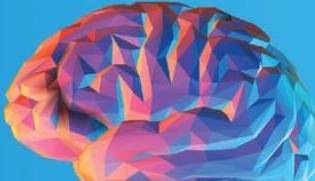 چرا ضریب هوشی انسان‌ها متفاوت است؟