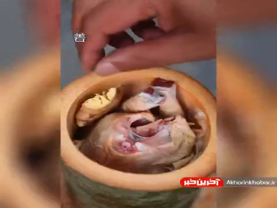 ایده متفاوتی برای طبخ غذا در خارج از شهر