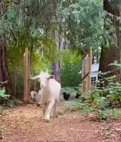 چه صحنه جالبی بود