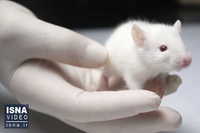 گزیده اخبار علمی در هفته ای که گذشت