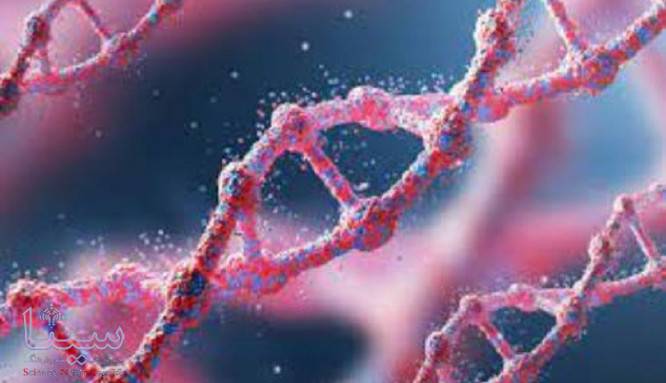 شناسایی تصادفی یک ژن ناشناخته انسانی!