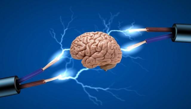 اطلاعات چگونه در مغز شما ذخیره می شوند؟
