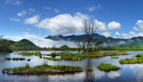 طبیعت مسوول بیش از ۸۰ درصد رشد متان در اتمسفر