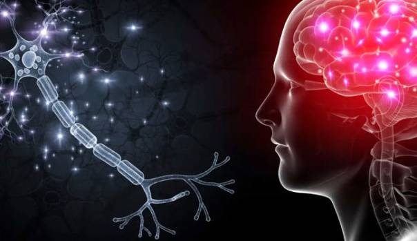 رمزگشایی از کارکرد مغز برای یادآوری چهره ها